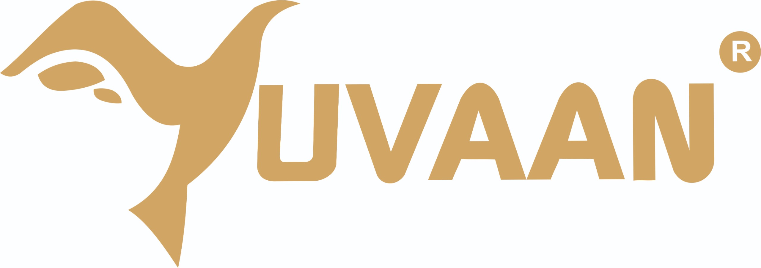 Yuvaan Infotech Logo